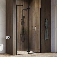 Душевая дверь в нишу IDDIS Slide SLI6BH2i69 120 см