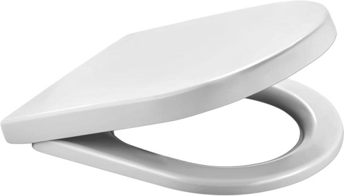 Унитаз подвесной Berges Wasserhaus Ego Rimless 082122 с микролифтом фото 8