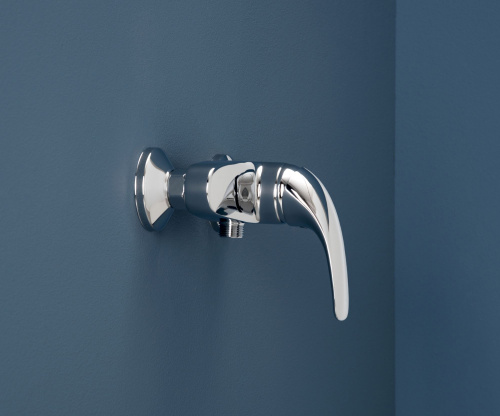 Смеситель Aquanet Cobra SD90367 для душа фото 3