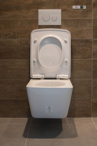 Унитаз подвесной Toto SP CW532Y с микролифтом фото 4