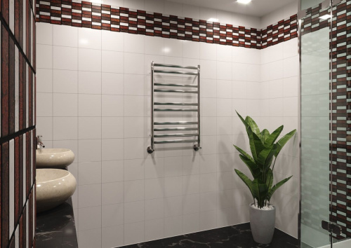 Полотенцесушитель водяной Lemark Status П10 50x80