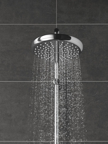 Верхний душ Grohe Tempesta 26409000 фото 2