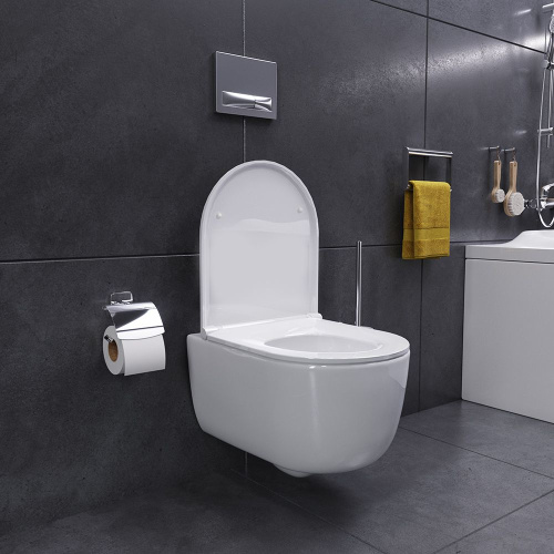 31 190 руб. Унитаз подвесной Damixa Sirius DX86C1700SC с микролифтом фото 2 Унитаз подвесной Damixa Sirius DX86C1700SC с микролифтом фото 2