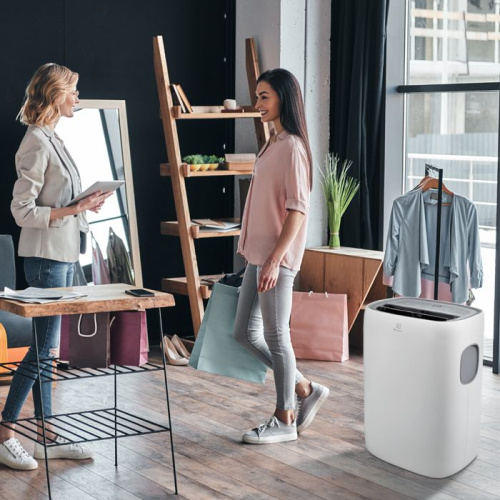 Кондиционер Electrolux Loft EACM-13 CL/N3 фото 9
