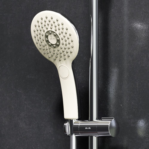 Душевая лейка AM.PM Inspire V2.0 F0250A000 фото 2