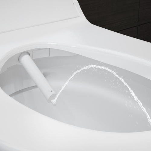 Унитаз подвесной Geberit AquaClean Tuma Comfort 146.294.SI.1 вставка белое стекло фото 3