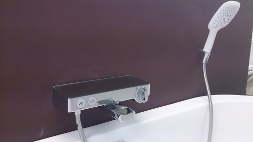 Термостат Hansgrohe Ecostat Select 13151400 для ванны с душем фото 2