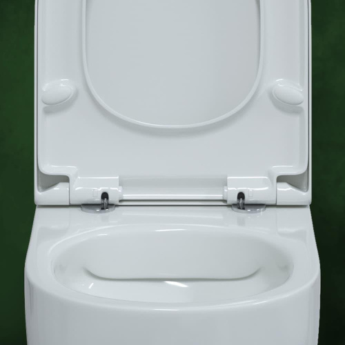 Унитаз подвесной Berges Wasserhaus Ego Rimless 082122 с микролифтом фото 6