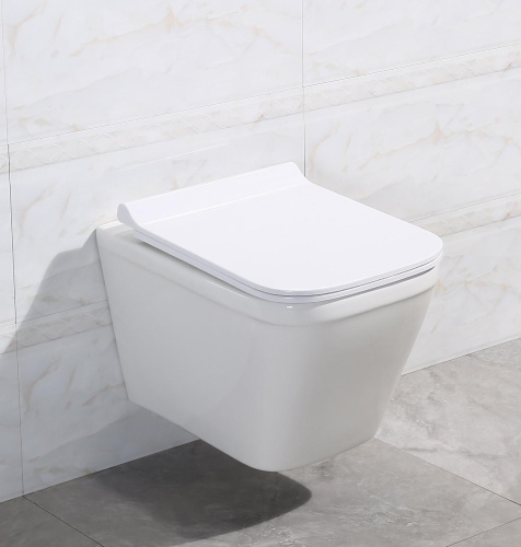 Крышка-сиденье BelBagno Dory BB2138SC с микролифтом фото 2