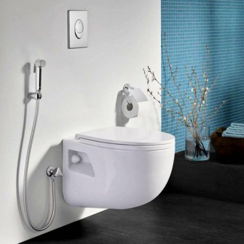 3 820 руб. Гигиенический душ Grohe Tempesta-F 27512001 фото 3 Гигиенический душ Grohe Tempesta-F 27512001 фото 3