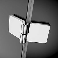 Душевая дверь в нишу Radaway Essenza New DWB 100 L