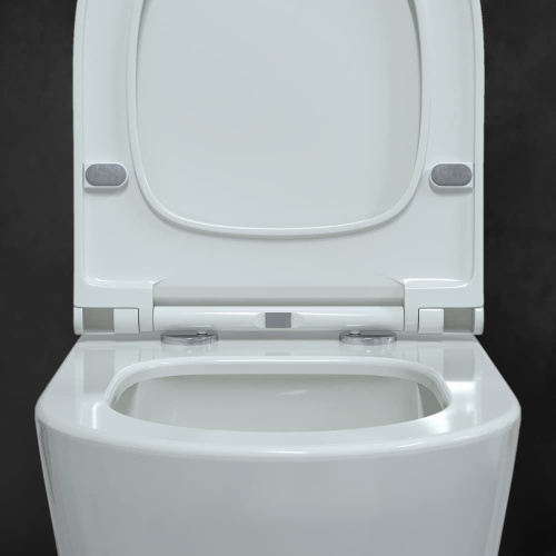 Унитаз подвесной Berges Wasserhaus Mascon Rimless 082128 с микролифтом фото 3