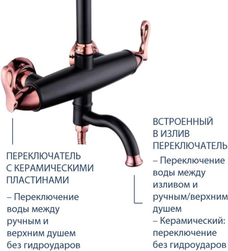 Душевая стойка Lemark Prime LM6162BRG фото 3