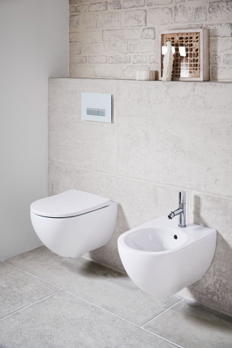 87 520 руб. Комплект Geberit Acanto унитаз + инсталляция + крышка-сиденье фото 11 Комплект Geberit Acanto унитаз + инсталляция + крышка-сиденье фото 11