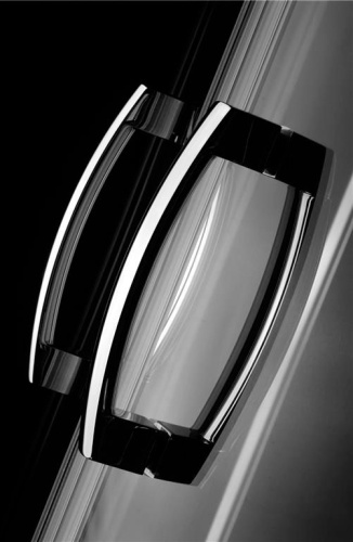 Душевая дверь в нишу Radaway Premium Plus DWJ 110 прозрачное стекло фото 5