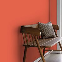 Краска Little Greene Absolute Matt Emulsion цвет 21 Orange Aurora. 5 л